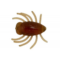 Ebimiso Oil